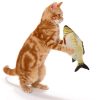 2-s-l-jpg-640x640-720x-9199f5a7-72b7-4923-a2e6-ed80336c2531 Vibrating Fish Toy