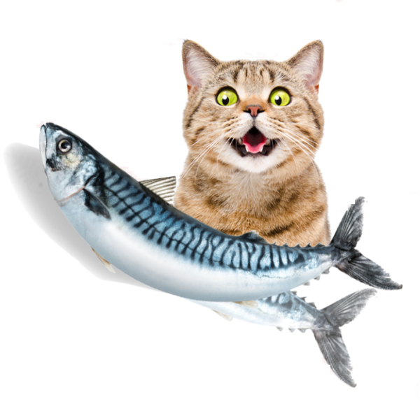 f5-720x-7bd87f5b-8893-4b4f-8e4b-af9371dabdb2 Vibrating Fish Toy